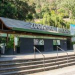 zoo_santiago_chile