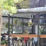 Santiago-Cafetin