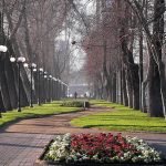ParqueForestalSantiago