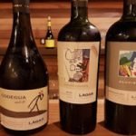 cava-del-somelier-2