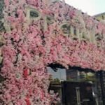 ChangSantiago-1