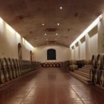 vina-concaytoro-bodega