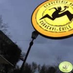 ElMesonBeerGarden-2