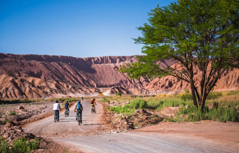 Vacaciones de inverno en  San Pedro de Atacama