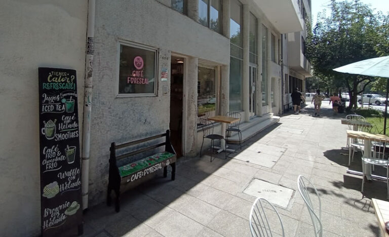Forestal, café de especialidad en Bellas Artes