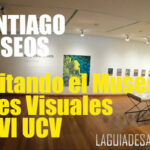 museo-artes-visuales-santiago