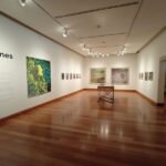 museo-mavi-6